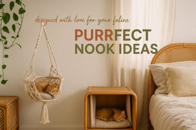 5 Cat Nook Ideas Your Kitty Will Thank You For