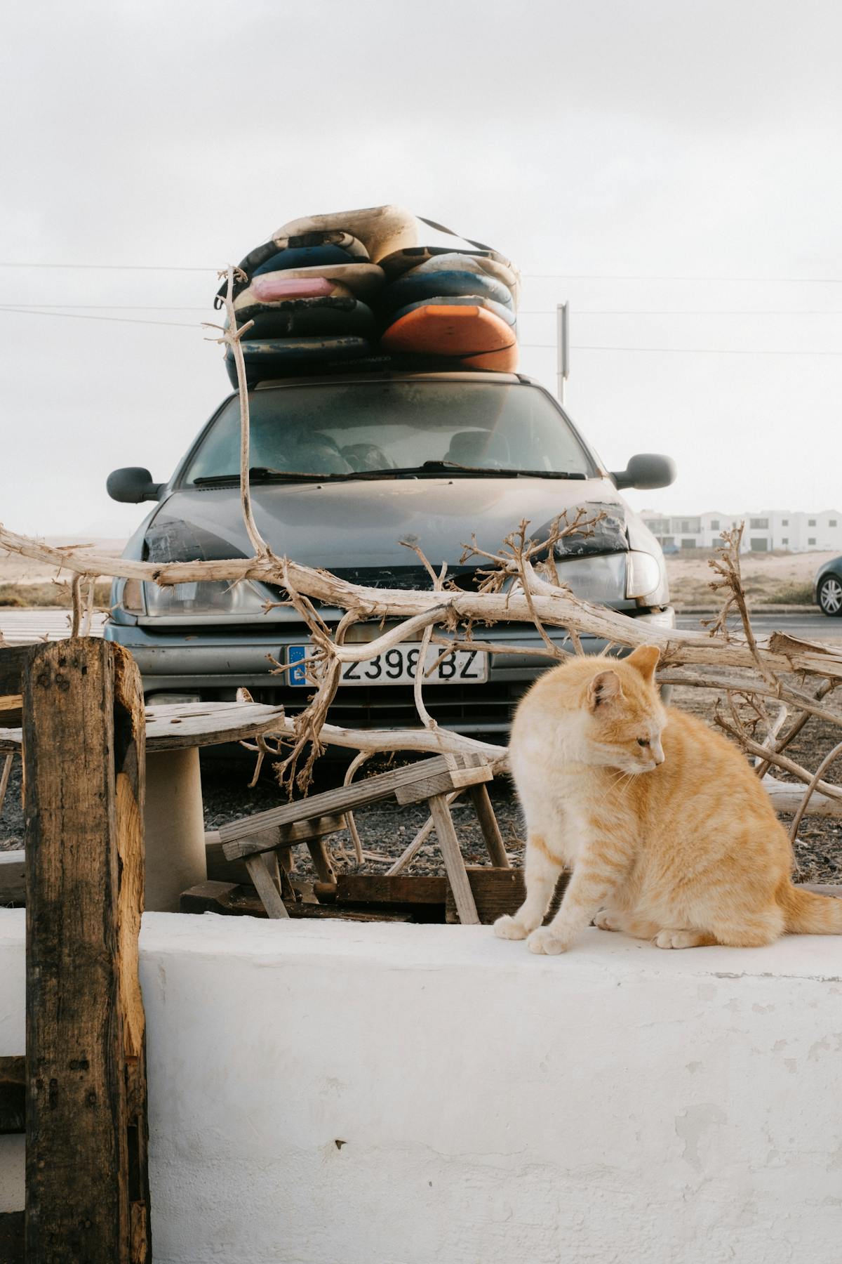Ginger cat sitting beside a car packed with colorful luggage, ready for travel