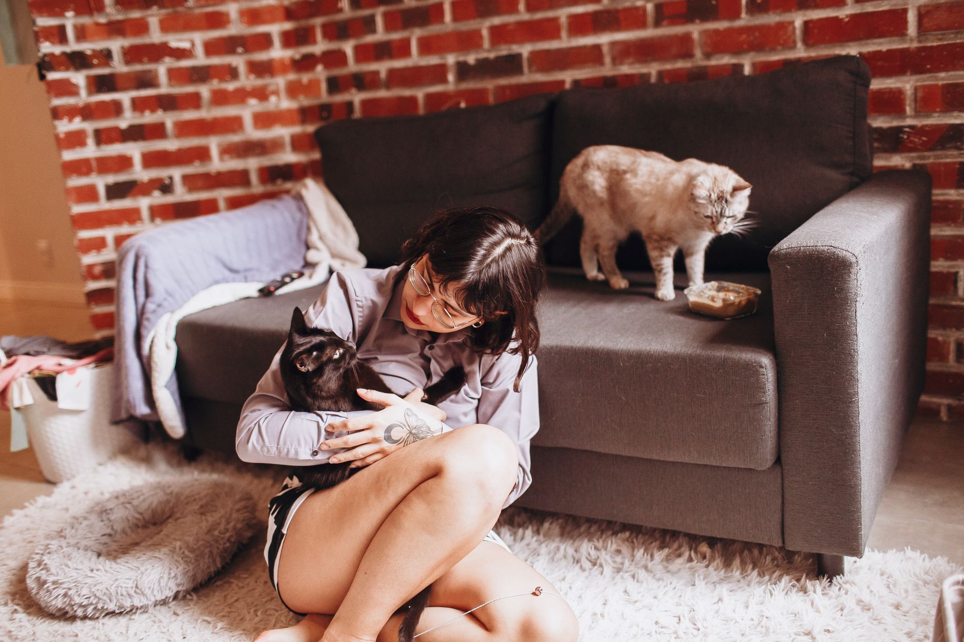 Cat owner relaxing with two cats in a cozy small apartment