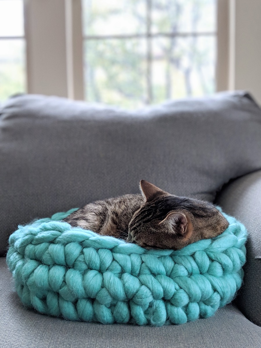 Tabby cat asleep in a teal chunky crochet cat bed on a sofa