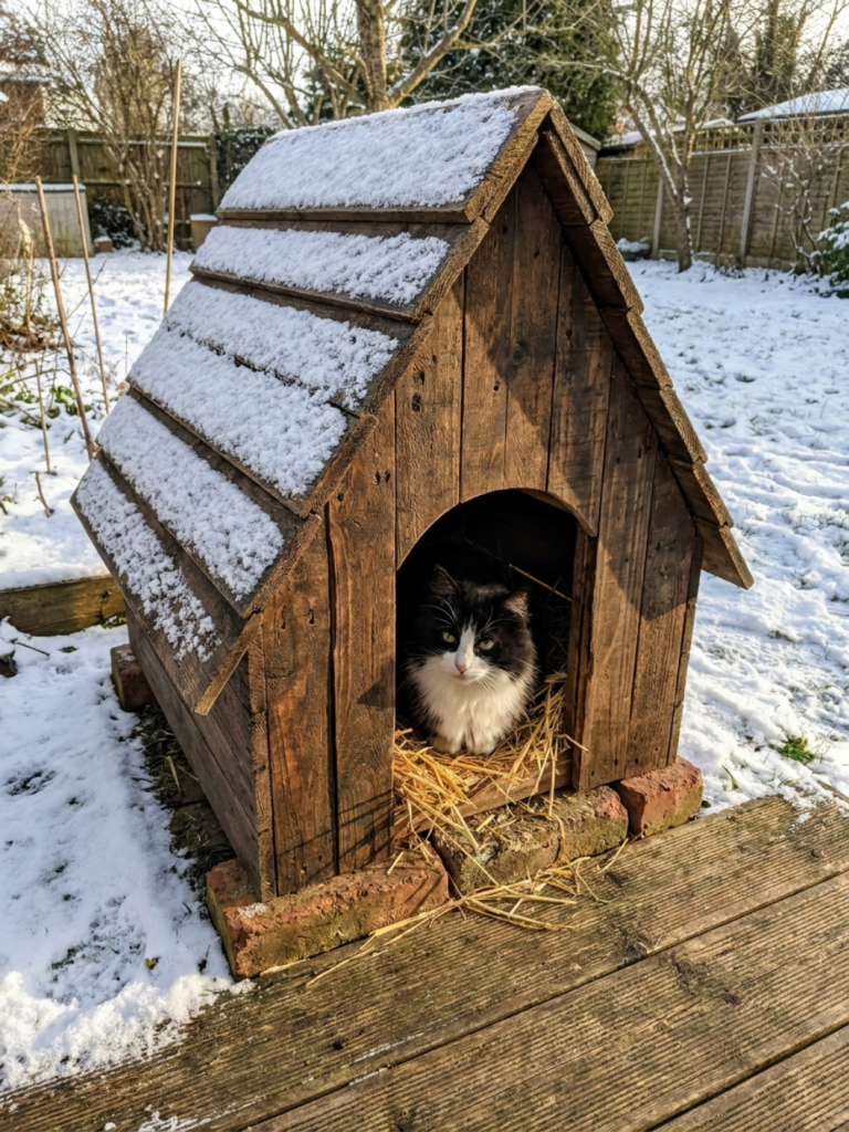 Wooden A-frame outdoor cat house with a snow-covered peaked roof and a black and white cat sitting in the doorway