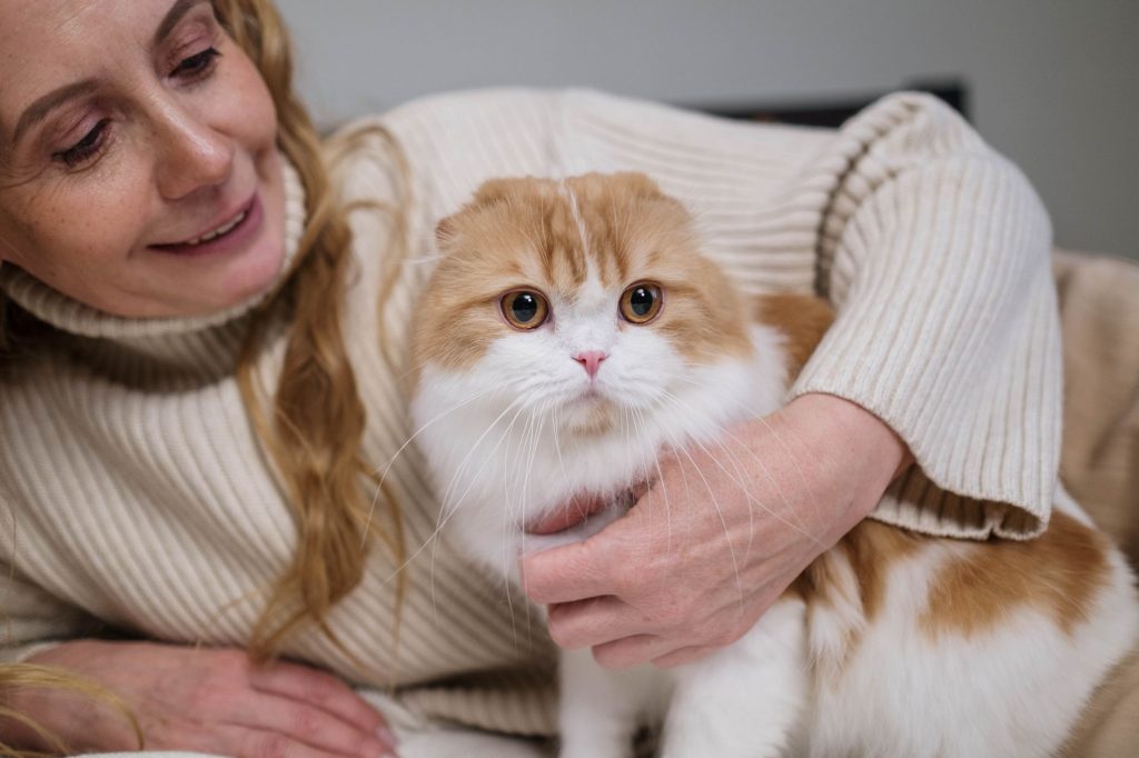 A person in a cozy sweater cuddling a fluffy cat, matching a gift to the cat lover